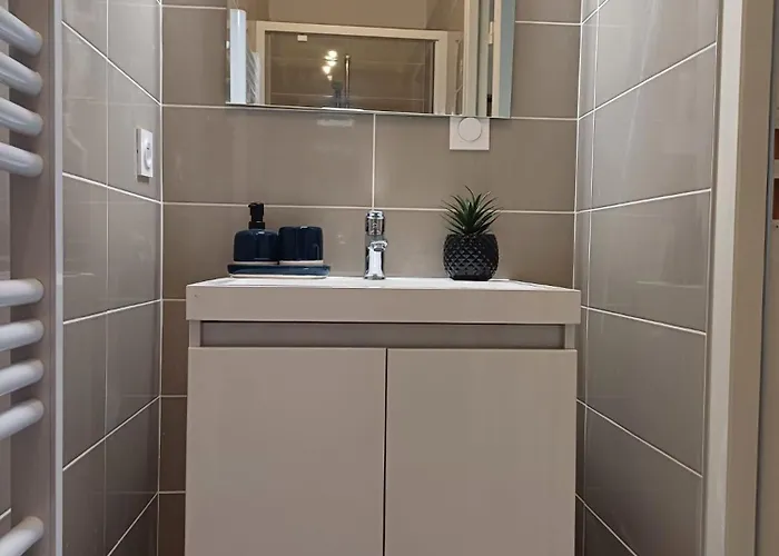 T3 Du Canal, 2chs, 2 Sdb, 3 Lits Agen